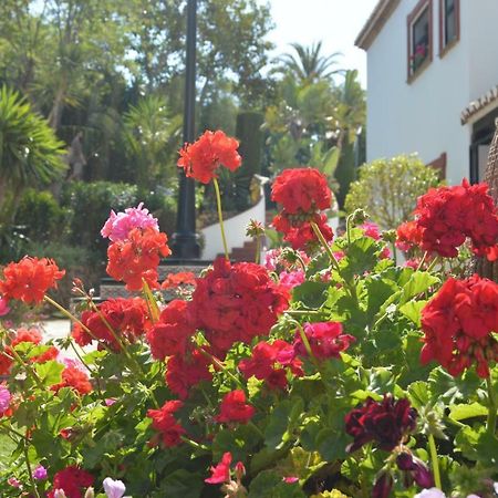 Puebla Agata Leilighet Marbella Eksteriør bilde